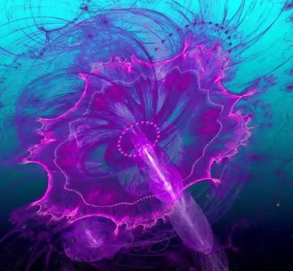 ˮĸ���ͺ�ˮһ��