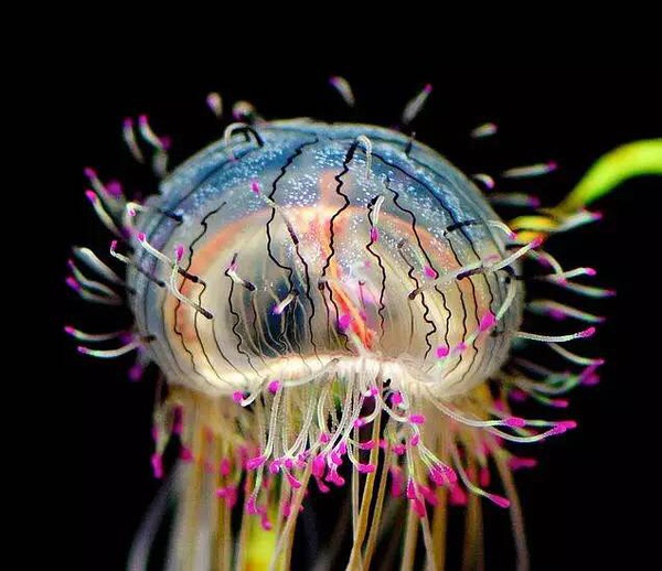 ˮĸ���o�X��|��